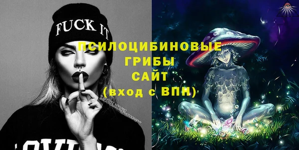 сатива Абинск