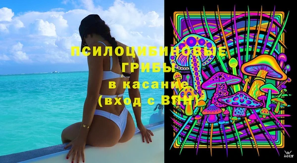 MDMA Няндома