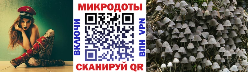 MEGA ссылка  Калачинск  Галлюциногенные грибы Cubensis 